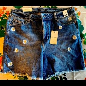 Judy Blue Daisy Shorts